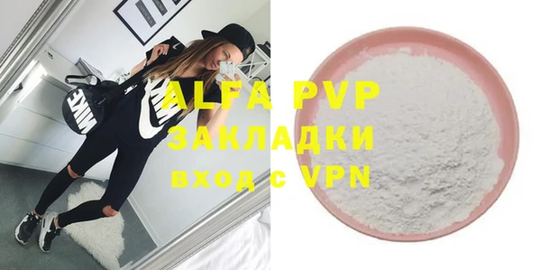 индика Арсеньев