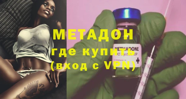 индика Арсеньев