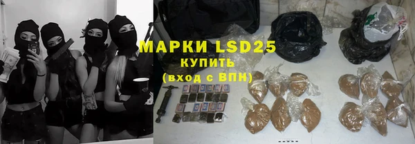индика Арсеньев