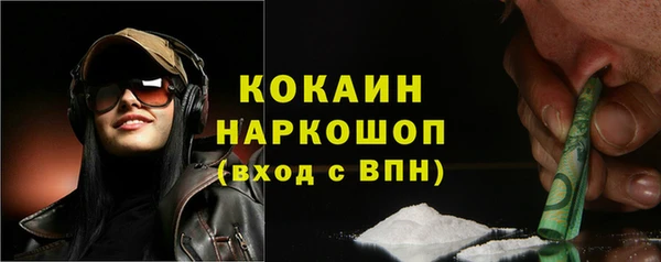 сатива Аркадак