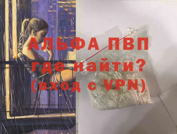 индика Арсеньев
