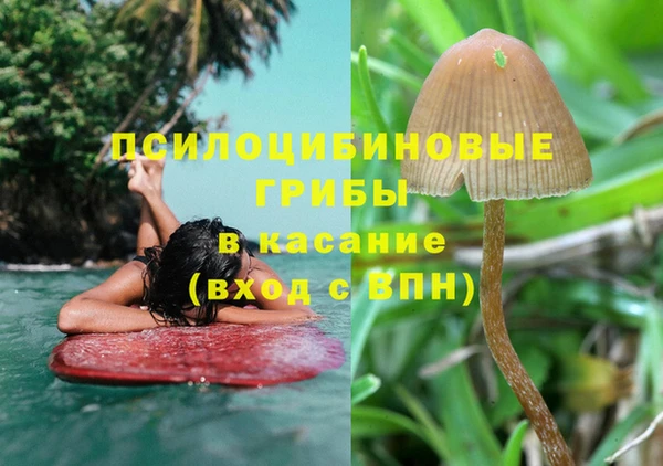 индика Арсеньев