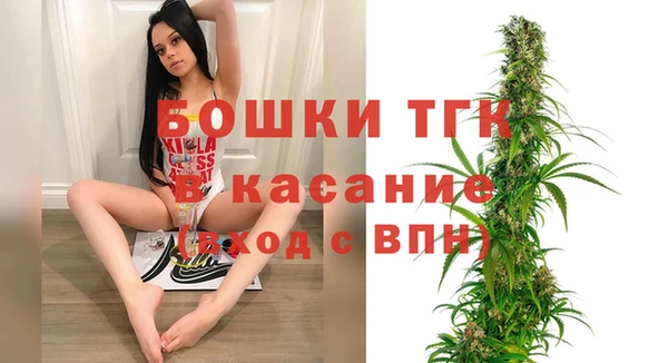 шишки Армянск